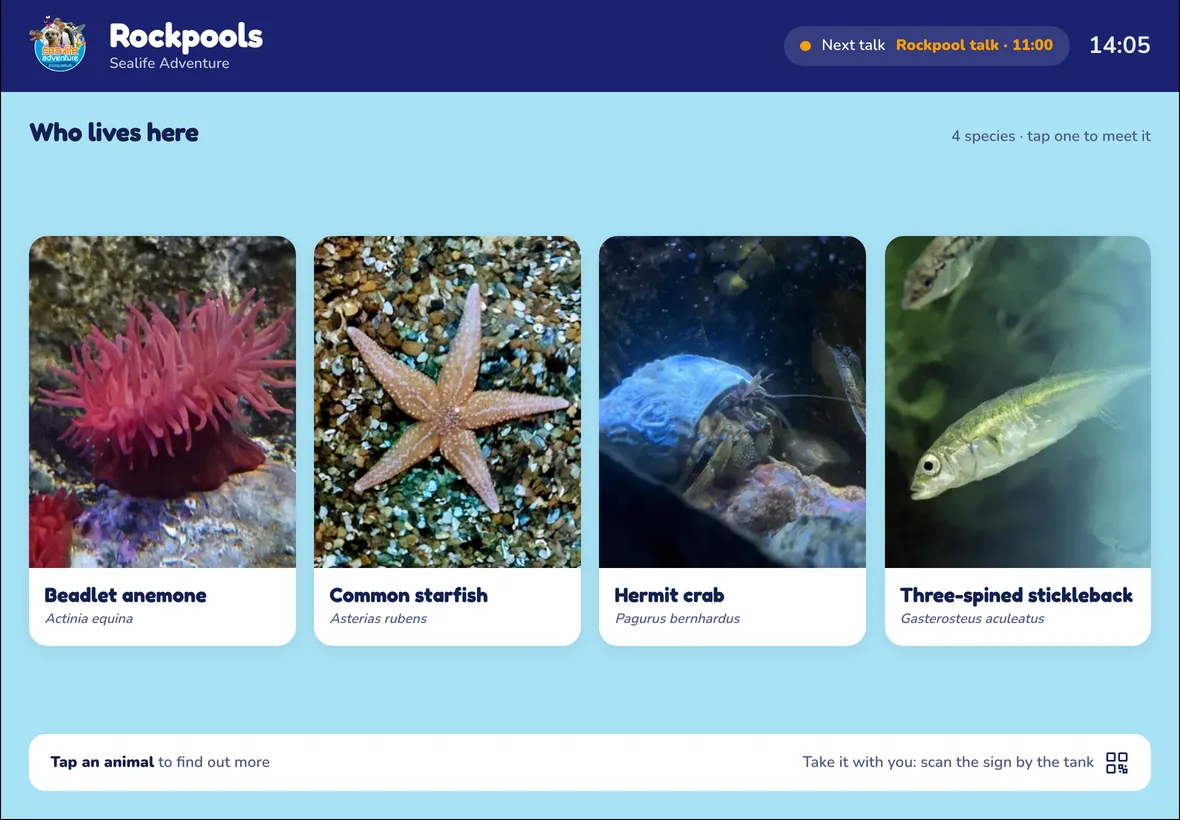 Sealife Adventure's Rockpools exhibit as a Live Label on an iPad, in their own colours: beadlet anemone, common starfish, hermit crab and three-spined stickleback
