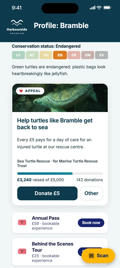 Bramble the green sea turtle's profile, with the Sea Turtle Rescue appeal: £3,240 raised of £5,000