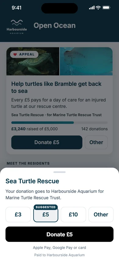 Choosing £5 to give to Sea Turtle Rescue, with Apple Pay or a card
