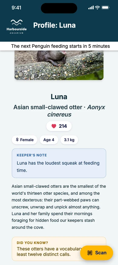 A banner on Luna's profile: the next penguin feeding starts in five minutes