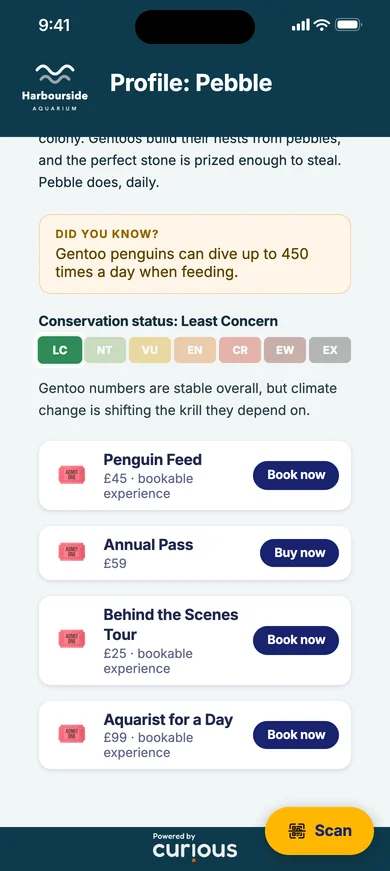 Pebble the gentoo penguin's profile: did you know, and its conservation status