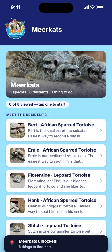 Sealife Adventure's Meerkats exhibit page, listing the tortoises Bert, Ernie, Florentine and Hank