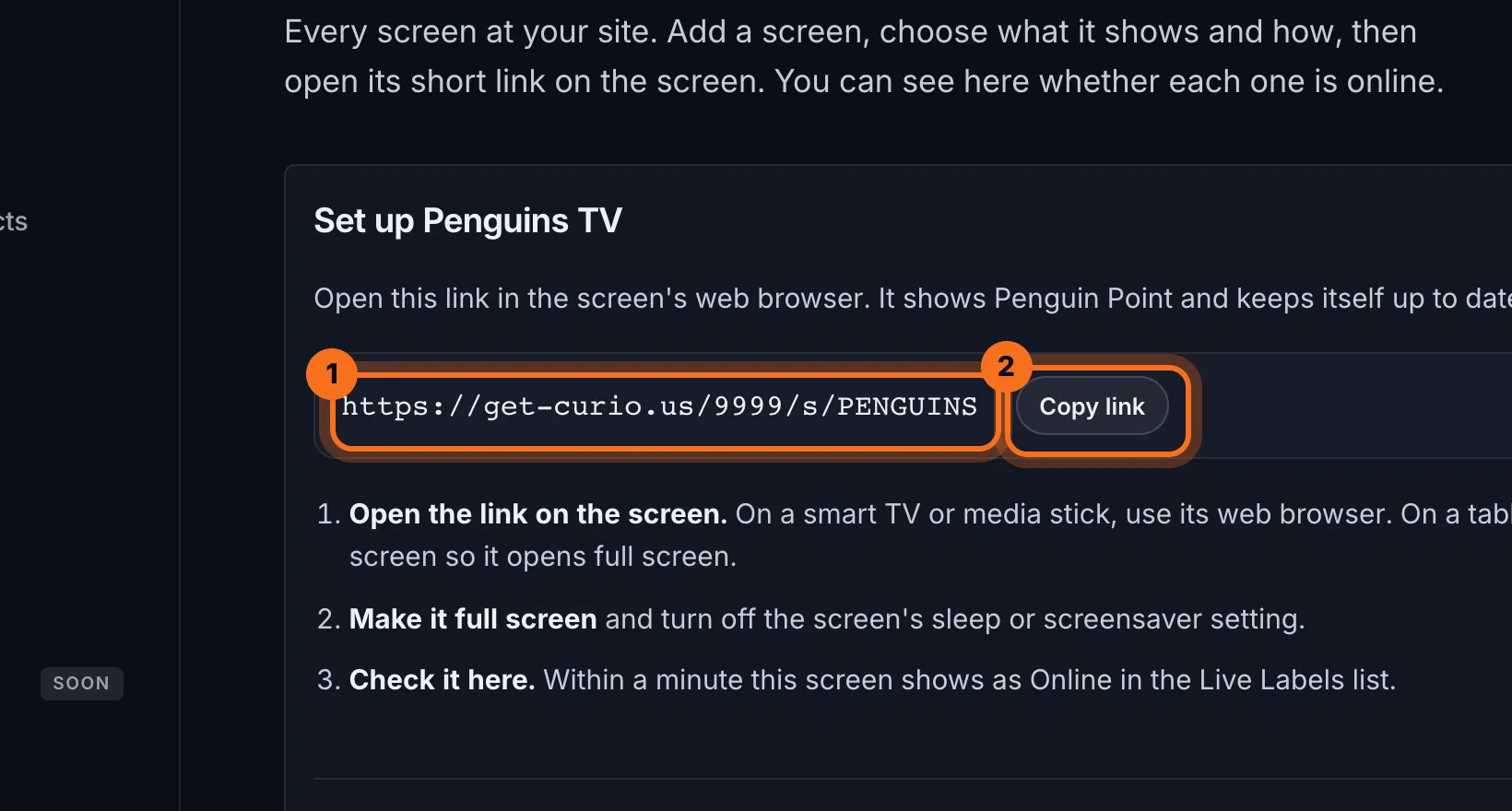 Step 7: The screen's set-up page opens, with its link. Open that link on the screen itself, or click Copy link to send it to whoever sets the screen up.