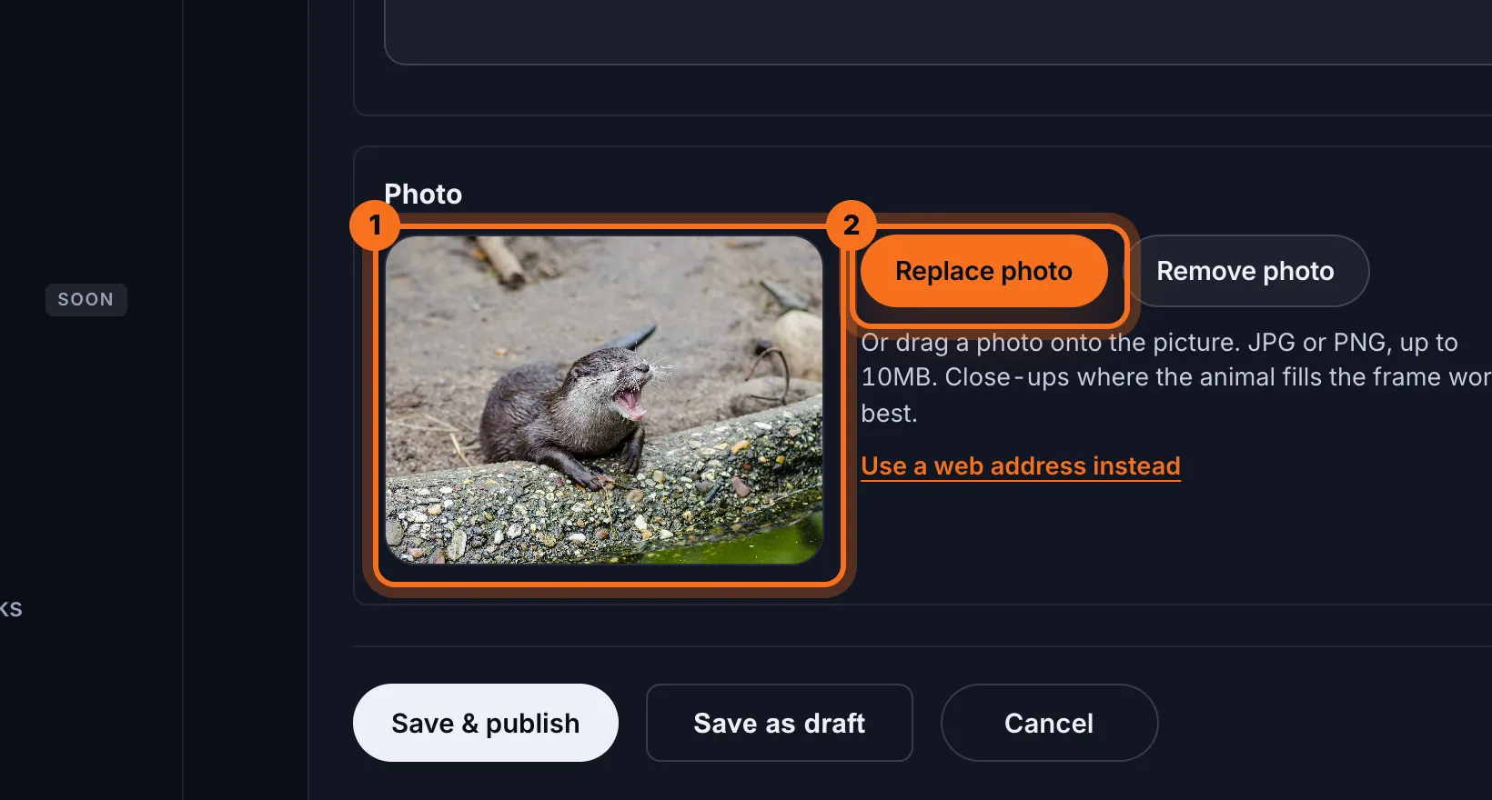 Step 4: Under Photo, click Replace photo (or Choose a photo if there's no photo yet) and choose a photo from your computer. It shows straight away, here and in the phone preview.
