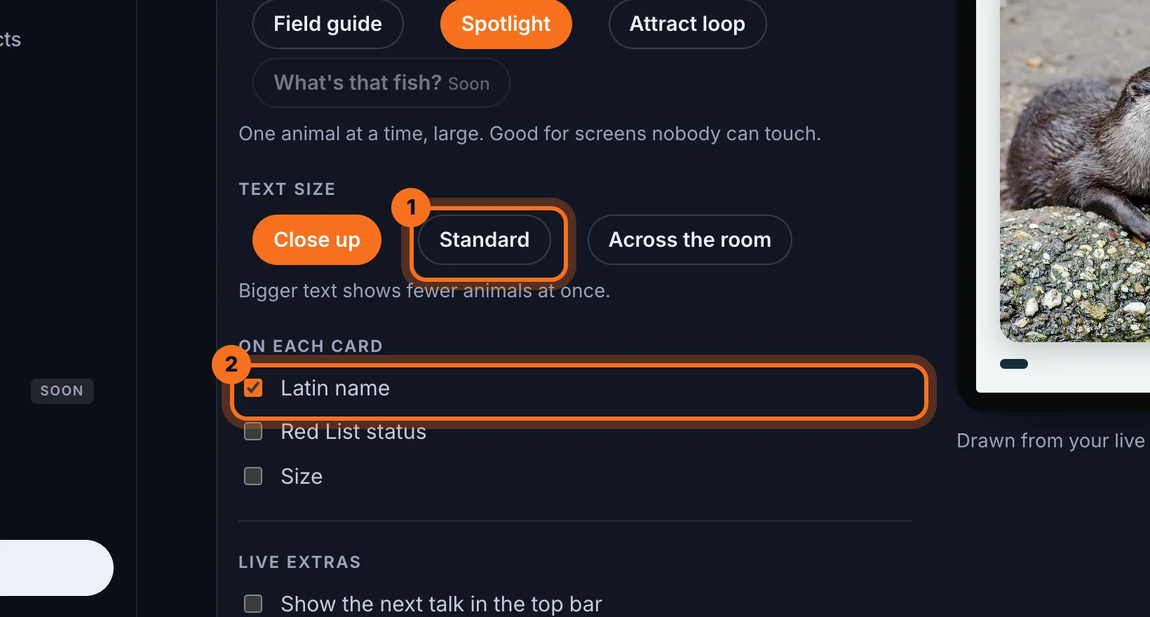 Step 5: Choose a Text size: Close up, Standard or Across the room, and tick what goes On each card: Latin name, Red List status and Size.