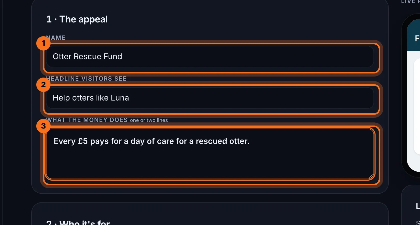 Step 3: Under 1 · The appeal, type a Name, the Headline visitors see and a line or two on What the money does.