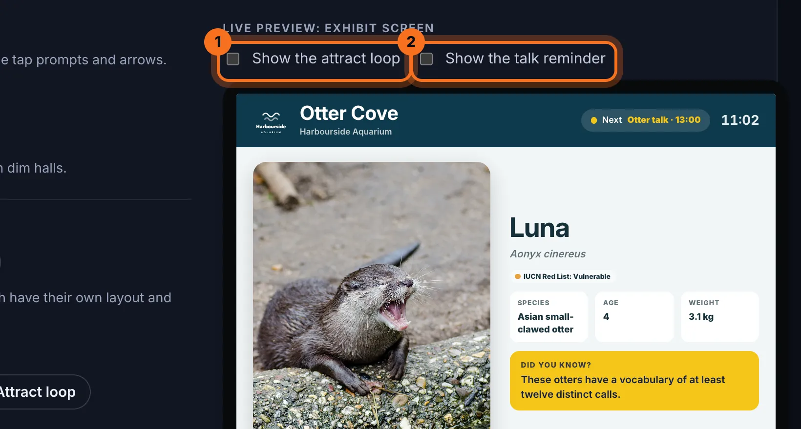 Step 5: To see them, tick Show the attract loop or Show the talk reminder above the Live preview.