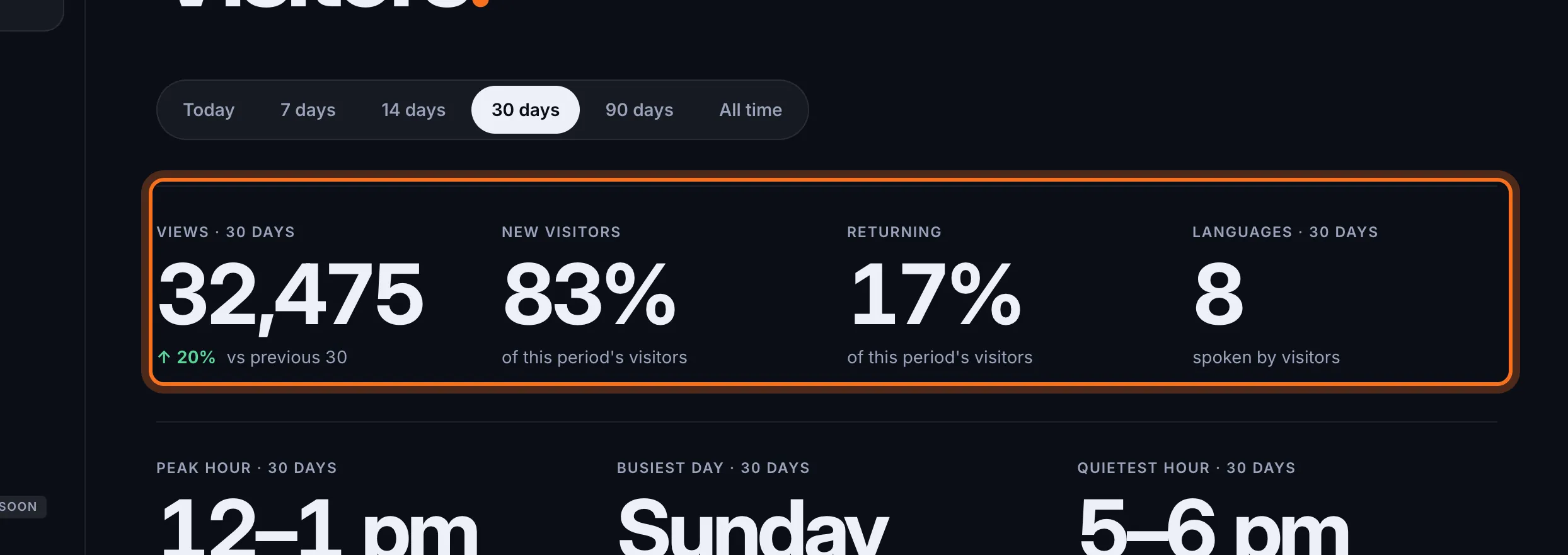 Step 2: The tiles show Views, how many visitors were New or Returning, and how many Languages they speak.